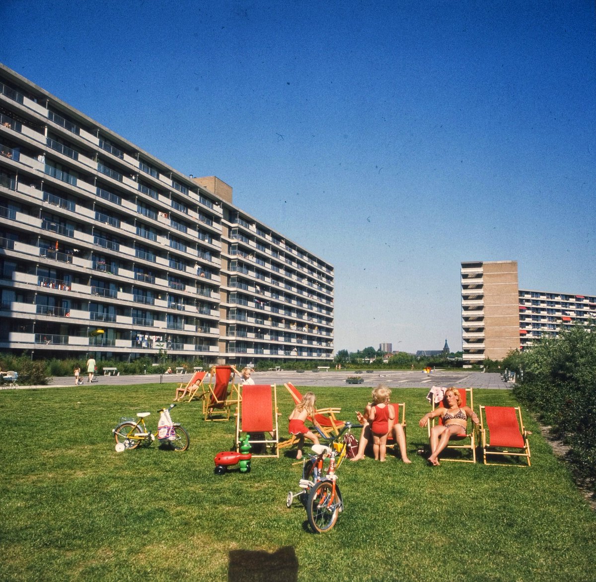 MartjanKuit's tweet photo. Het is zaterdagavond. U kunt geen kant meer op. Zappen is zinloos. Dit is een...

Daktuin in Zoetermeer. In de seventies❤️ 1/4 https://t.co/w2Ulwganv0