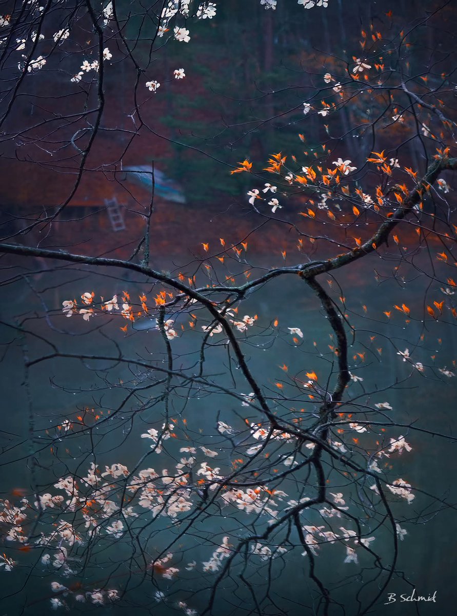 The one
that feeds you,
has power to starve you.