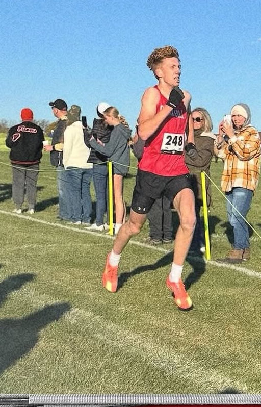 Allison Hardy tweet media