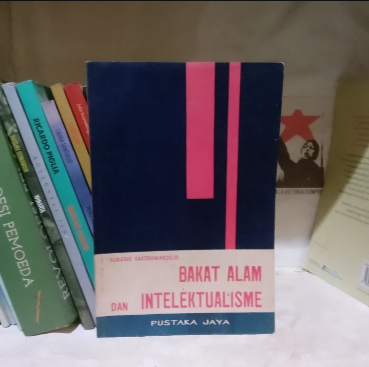 librarygabo tweet media