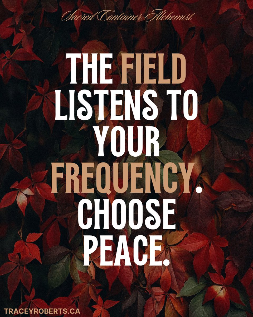 What if peace was not something you found, but something you broadcast?