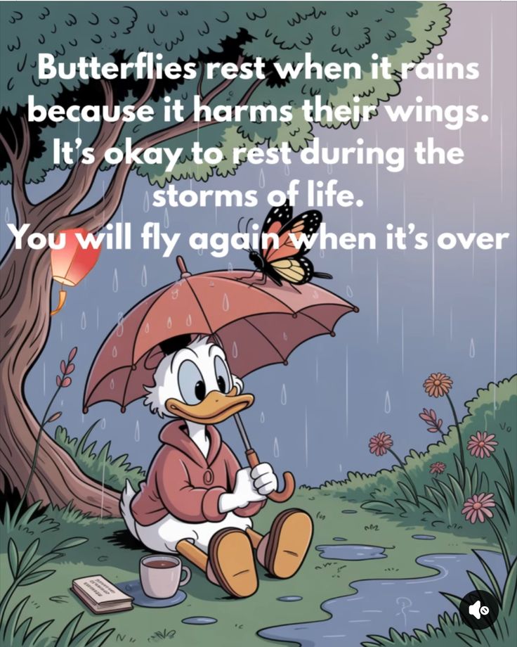 POSITIVITY (@positivitysaid) on Twitter photo 