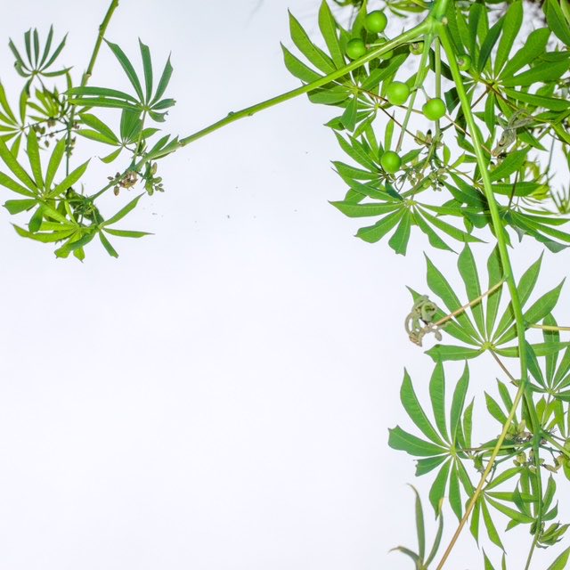 Paul Inman FRSA tweet media