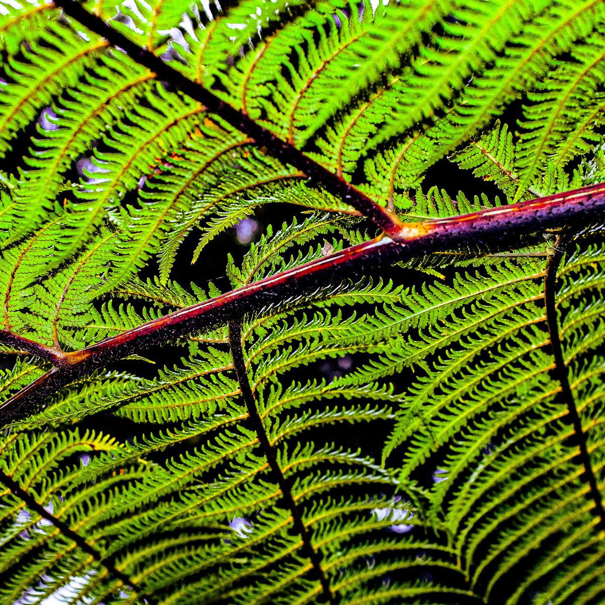 Paul Inman FRSA tweet media