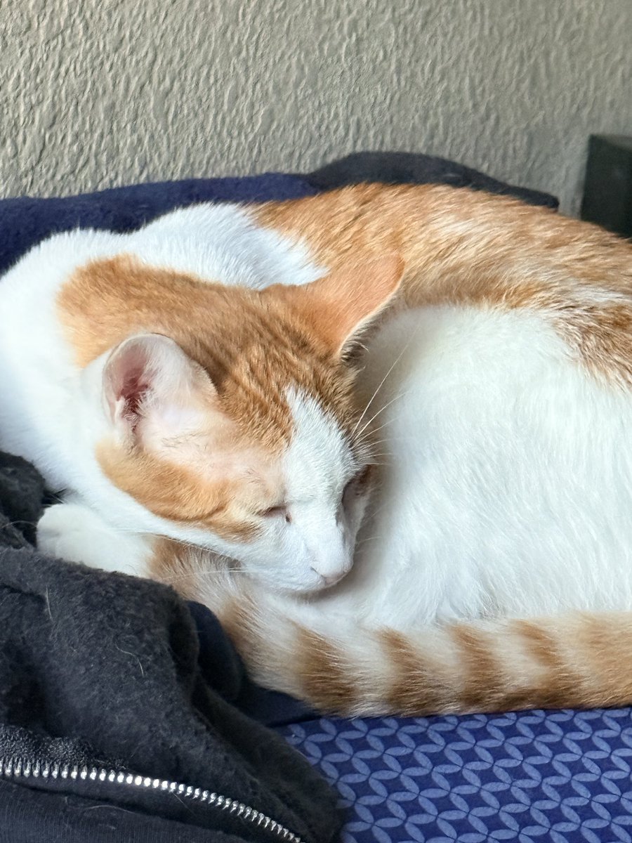 PADEN (@padenhop) on Twitter photo 