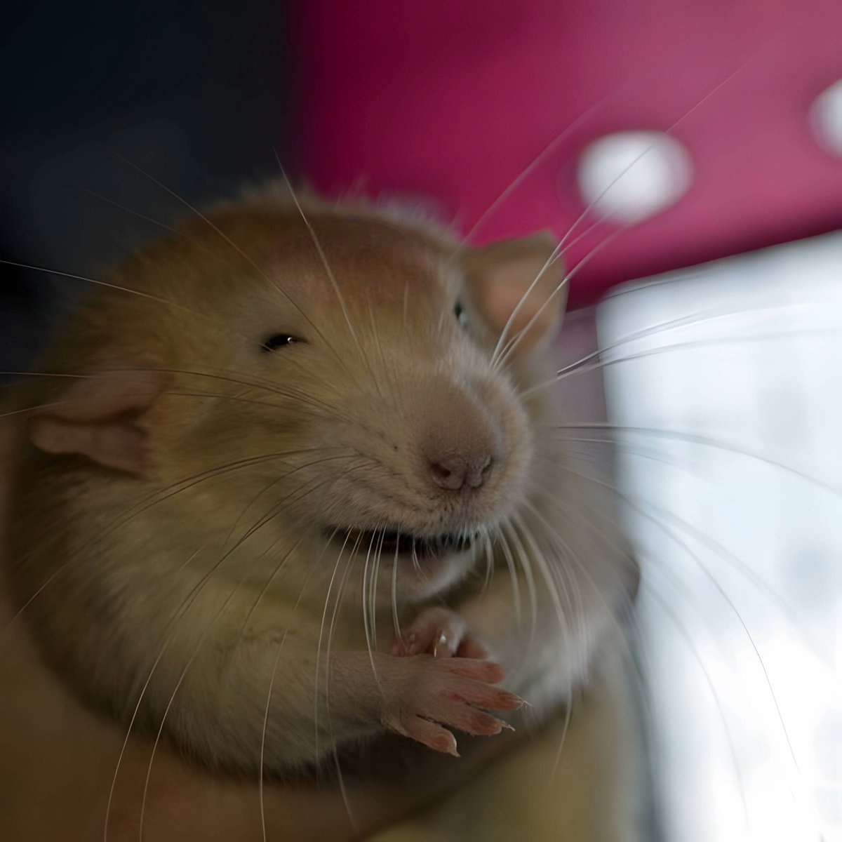 Binance Intern tweet media