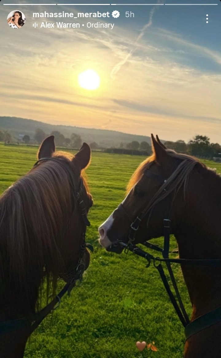 Gio_onni's tweet photo. Horses are great companions; they make us feel free.
🧿
#MahassineMerabet
#horse #free #freedom #NilüferHatun #KuruluṣOrhan #windinmyface https://t.co/Im7J7AtxDo