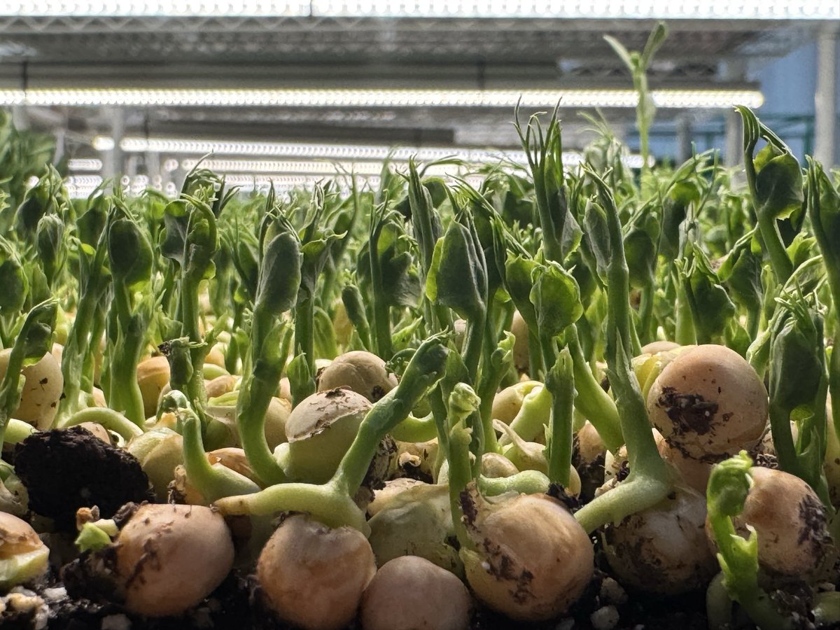 Alexis Ohanian 🗽 tweet media