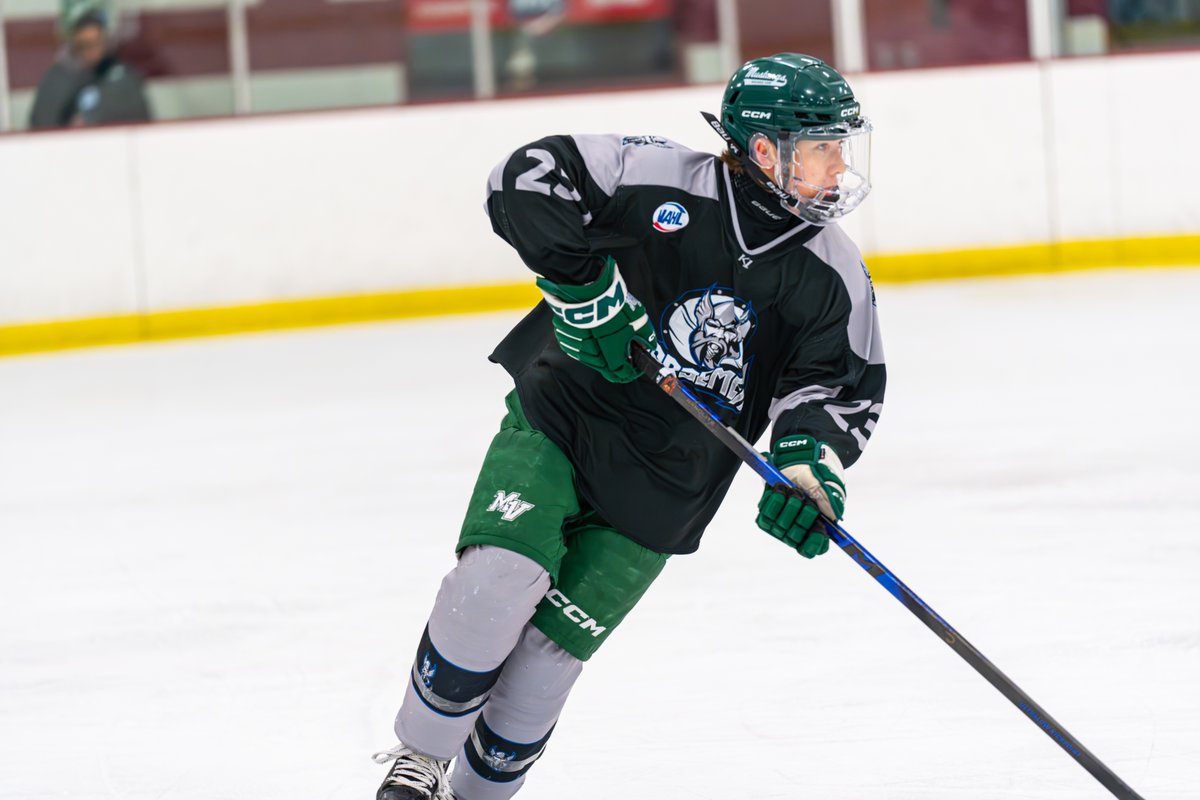 NAPHL's tweet photo. #FALLFinals action in full swing 💥 https://t.co/ucLSmvoJPZ