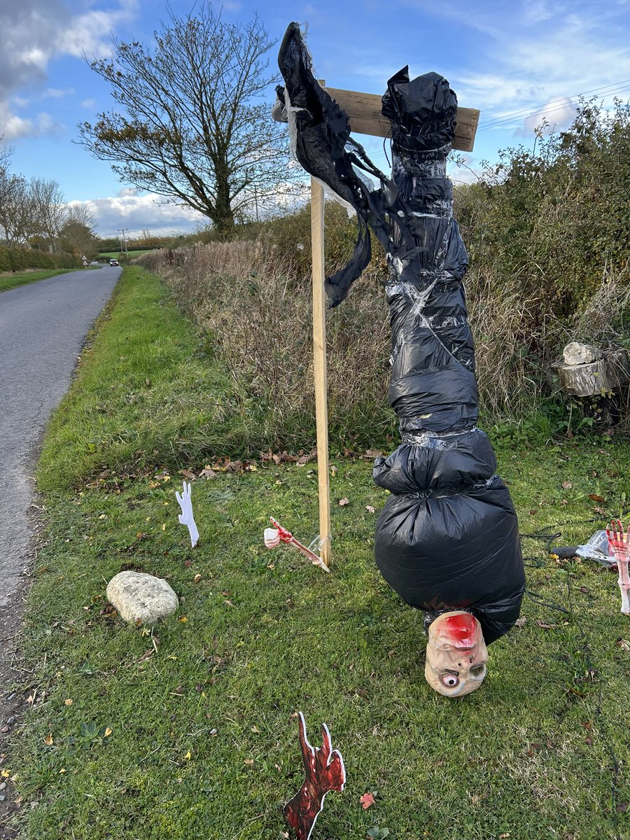 Matt Dass tweet media