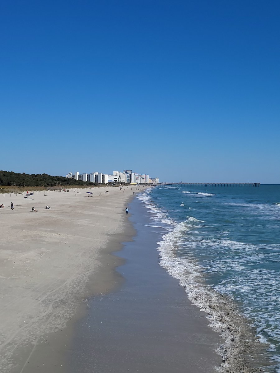 CaveFem🏳️‍⚧️ tweet media