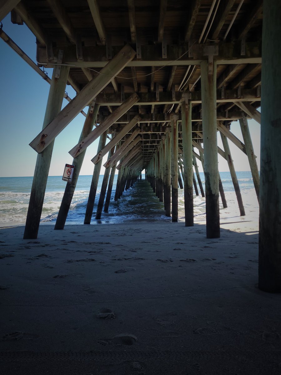 CaveFem🏳️‍⚧️ tweet media