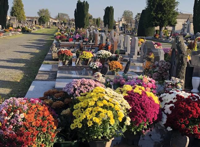 A vous tous, chrétiens, non chrétiens, pratiquants ou non ou même non croyant, je vous souhaite une très belle fête de #Toussaint.
En ce qui me concerne ce sera la visite aux cimetières pour me recueillir sur la sépulture de mes proches et même amis et voisins défunts.