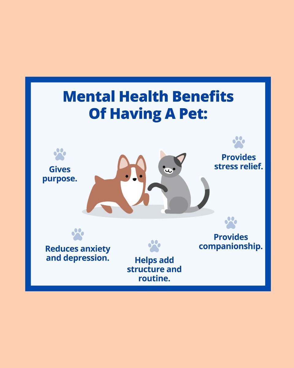 RIBHDDH's tweet image. Pets can significantly boost mental health by reducing stress, anxiety, and loneliness. They offer companionship and unconditional love, helping to improve mood and emotional well-being. 🐾❤️ #MentalHealth #PetTherapy