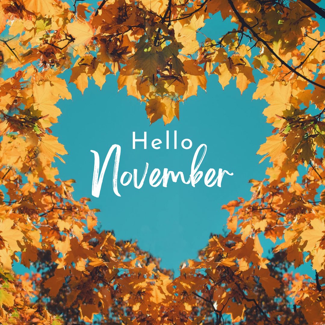 PinkGemini98's tweet image. Today kicks off my favorite time of year! I’m so excited to decorate for Christmas next weekend! Tell me what you are most excited for in November?