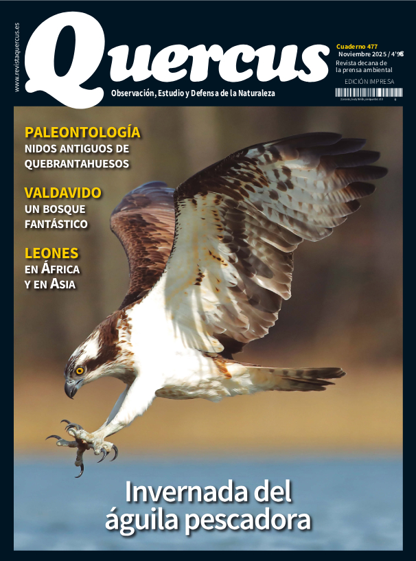 RevistaQuercus's tweet image. Cuaderno 477 • Noviembre de 2025
revistaquercus.es/noticia/9193/s…
¡Ya en tu quiosco!
O si prefieres, te lo hacemos llegar a tu casa
librerialinneo.com/quercus-477