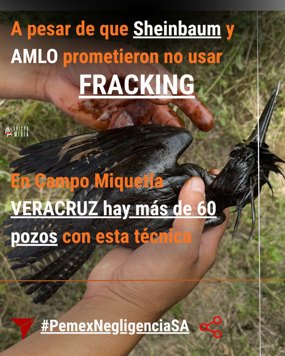 ‼️Cambia el nombre, no el impacto. #Pemex presentó estrategia para expandir frackin, que implica más agua, químicos y residuos, mientras se registra estrés hídrico en norte de Veracruz.
👉avispa.org/?p=121098🐝

#PemexNegligenciaSA #veracruzpuerto #pemex #claudiasheinbaum