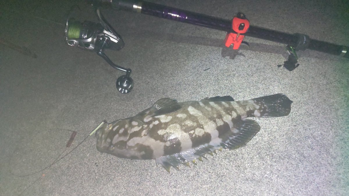 ⭐︎ヤマ⭐︎ まっちゃん(仮) on X