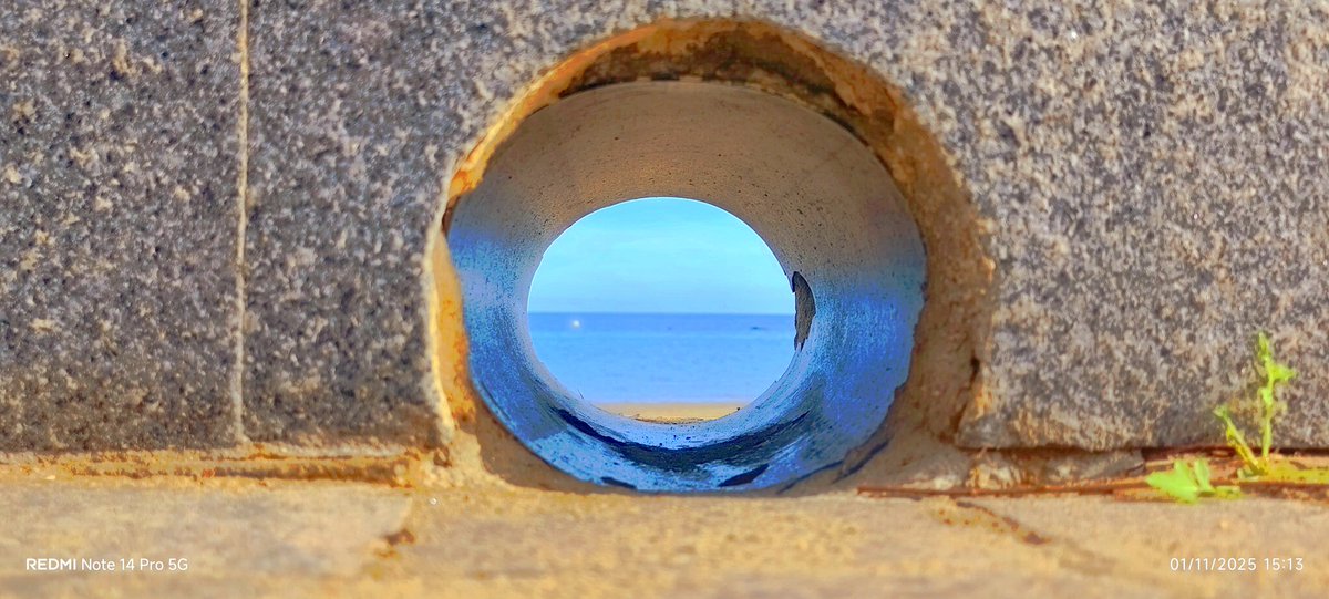 Y así,
en los lugares más inesperados,
cuando crees que se ha apagado la luz,
se abre hueco la esperanza.
Teñida de verdad y azul.