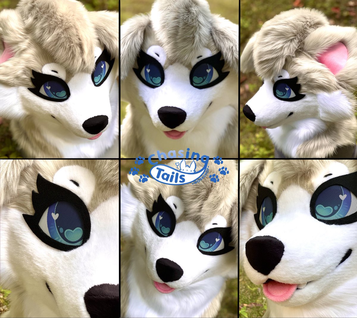 ChasingTailsWS's tweet image. LOVED this cutie!! Avalon the Husky, head only comm finished a few months ago! 🥺🩵