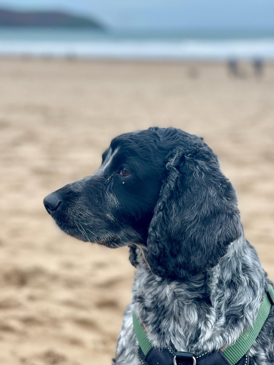 Making memories. Missing our eldest but he is away making his own memories right now.