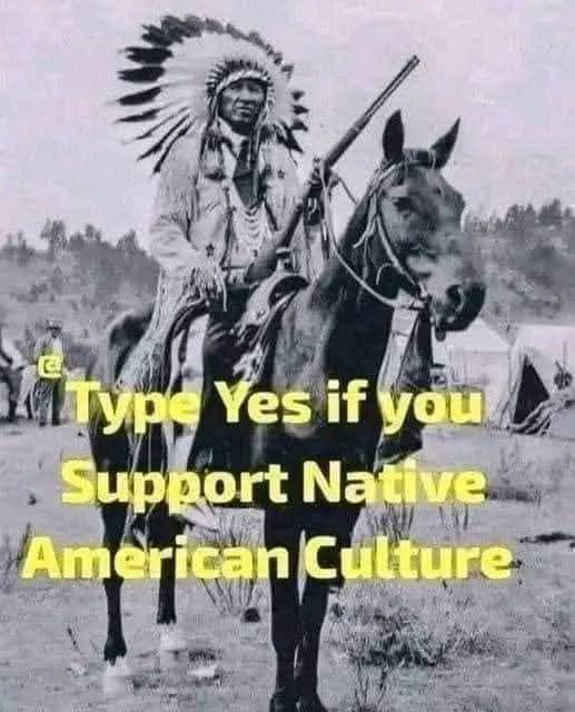 Native American Pride tweet media