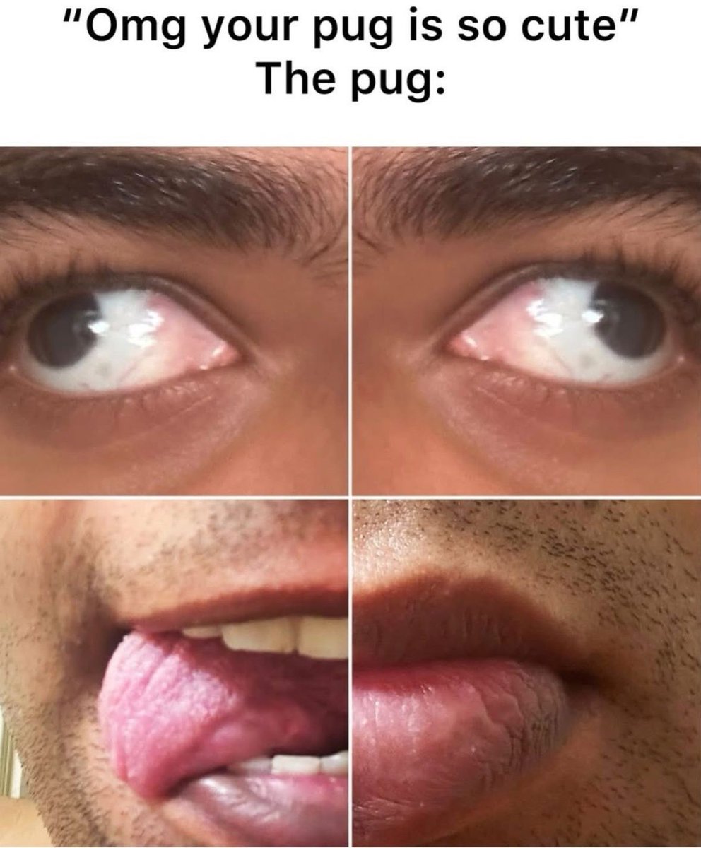 no context memes (@weirddalle) on Twitter photo 