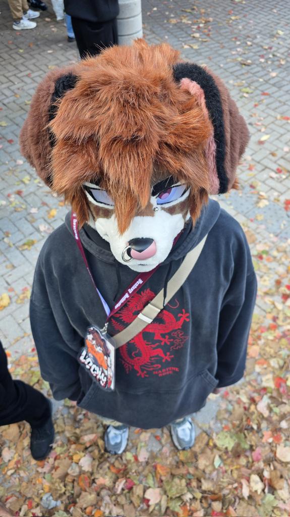 locky 🐶 🔜 FWA tweet media