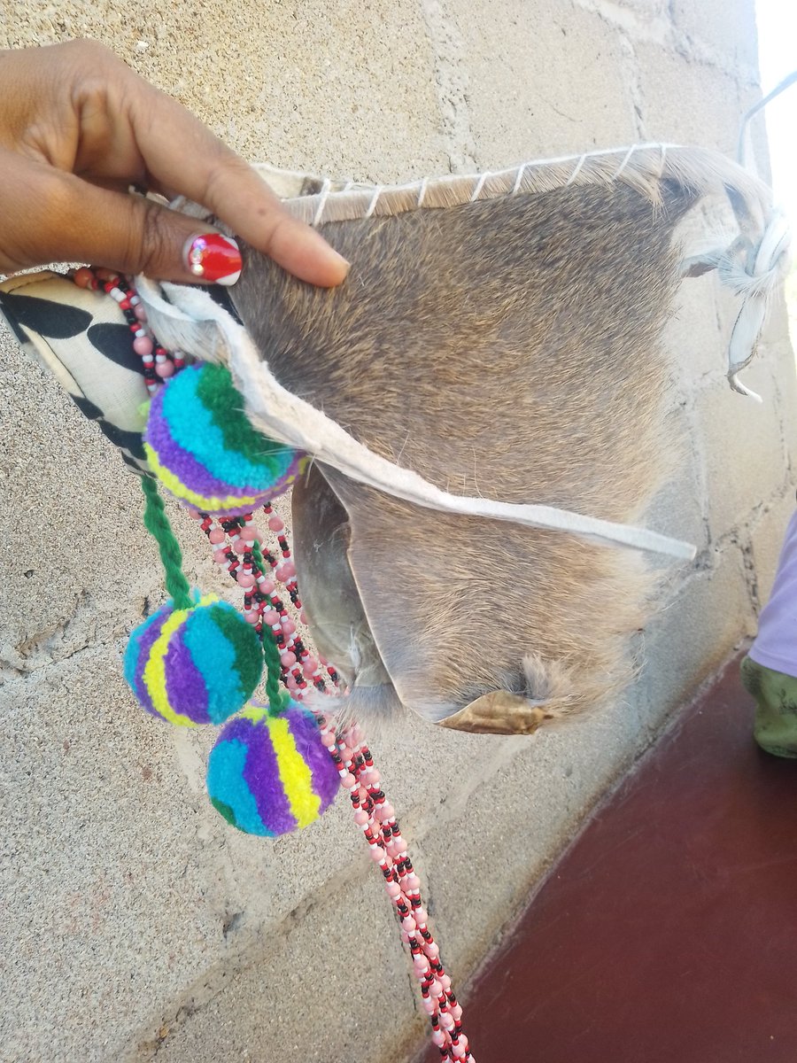 Slindile_Gwebu's tweet image. Emajobo nemgaco wabo bundle 
I am still your imvunulo plug 💖