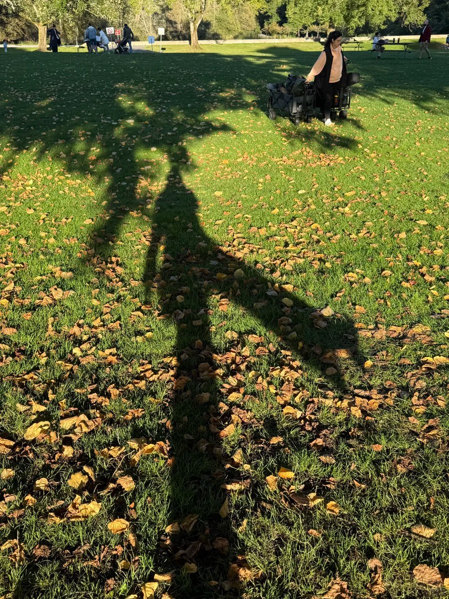 halisumar's tweet image. Out here collecting golden moments 🍁📸Trees are changing, skies are calm, and everything feels peaceful 💫This season is a reminder to slow down and breathe.