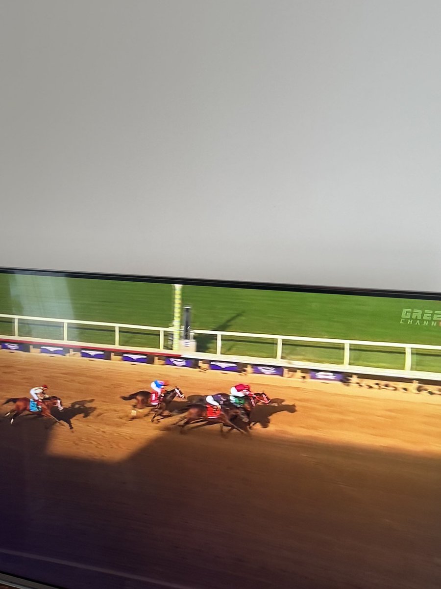 フォーエバーヤング 2025年ブリーダーズカップ 両日セット➕ネック