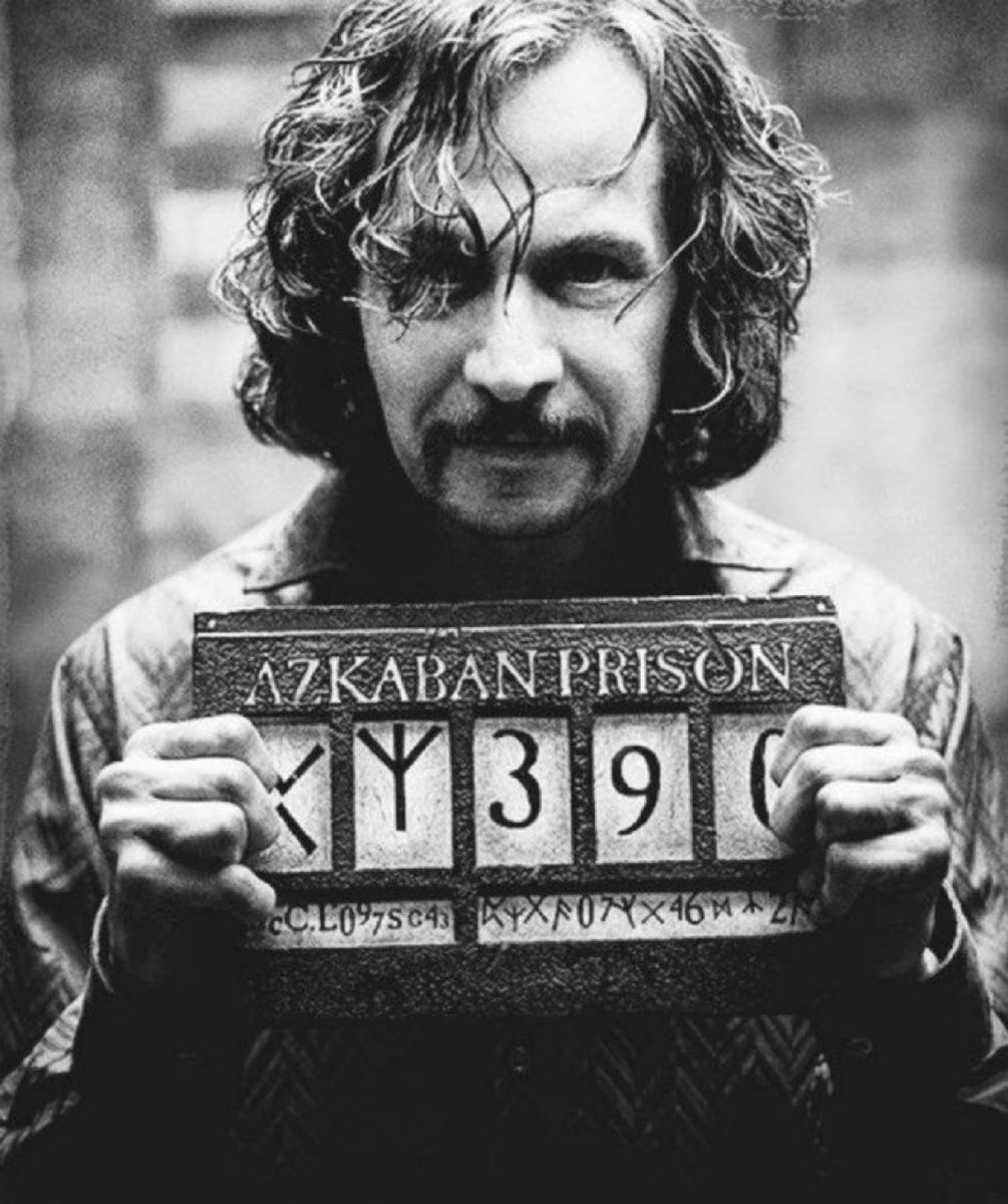 TheDailyHPotter's tweet photo. Time for a Sirius post 👊 https://t.co/kmJhBVHsC4