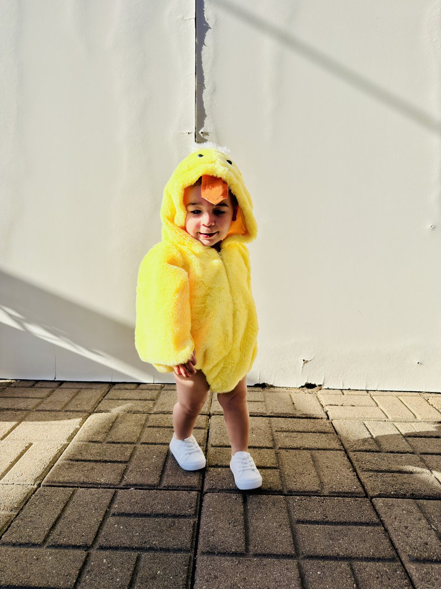 bobbymacavelli's tweet photo. @saradietschy My toddler was scared of his duck costume and we had to spend ten minutes letting him pet it and decide he liked it before he put it on 😭 https://t.co/w7wnsju35t