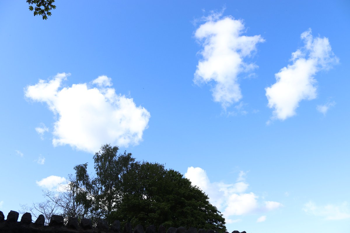 RachelUmbra's tweet photo. Have a great weekend #photo #photgraphy #outdoors #SaturdayVibes #clouds #tree https://t.co/3APb7pVfrq