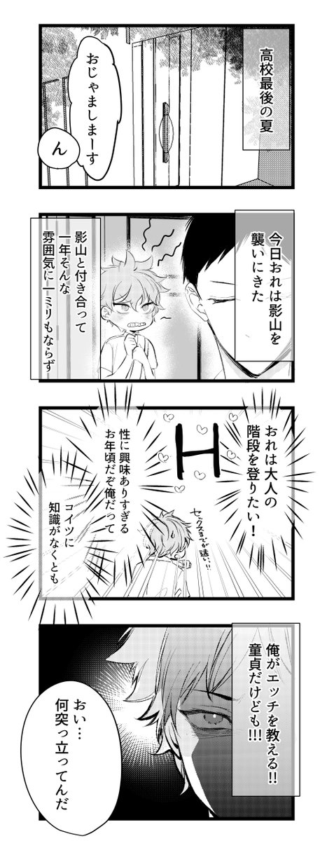 kagehina っちゅーわけよ 🍉夏🏄️までにUPしようと思ったけどもう…🍂秋🍁 