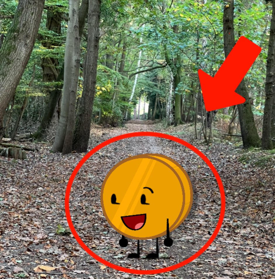 WHAT is Coiny bfdi doing in the forest bro
