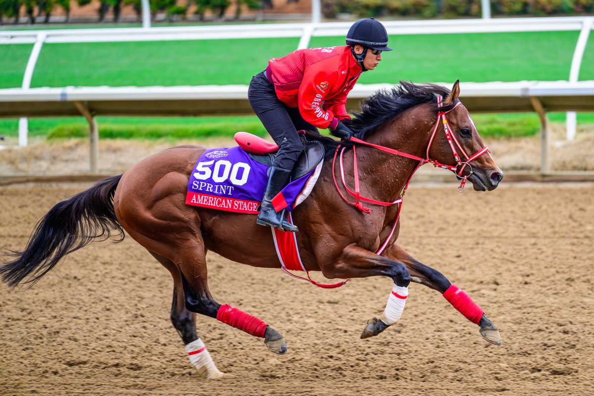 🇺🇸 ブリーダーズカップ2日目、次のレースはダート短距離戦のBC