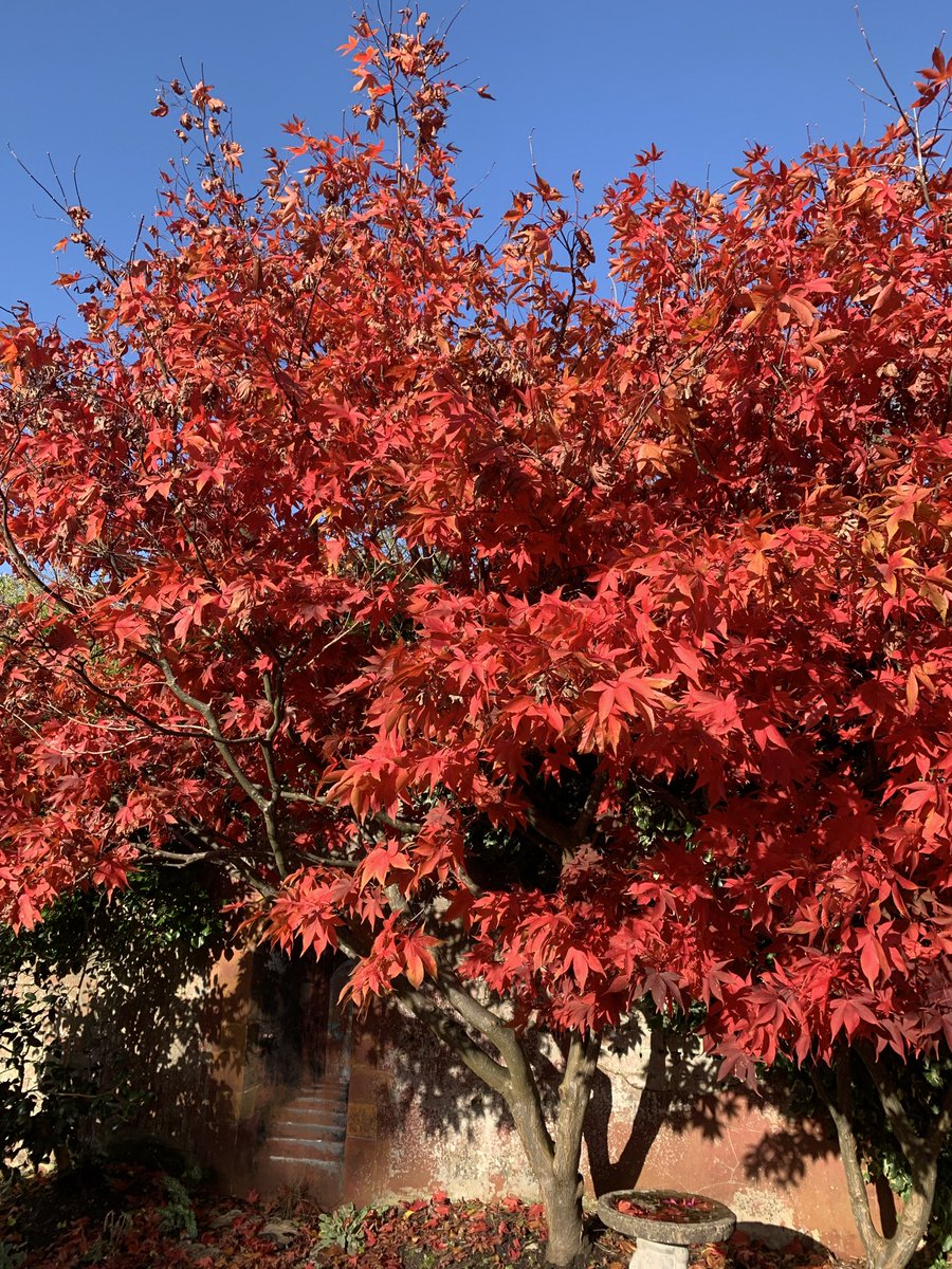 Mark Shephard 🏳️‍🌈 tweet media