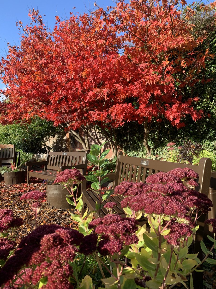 Mark Shephard 🏳️‍🌈 tweet media