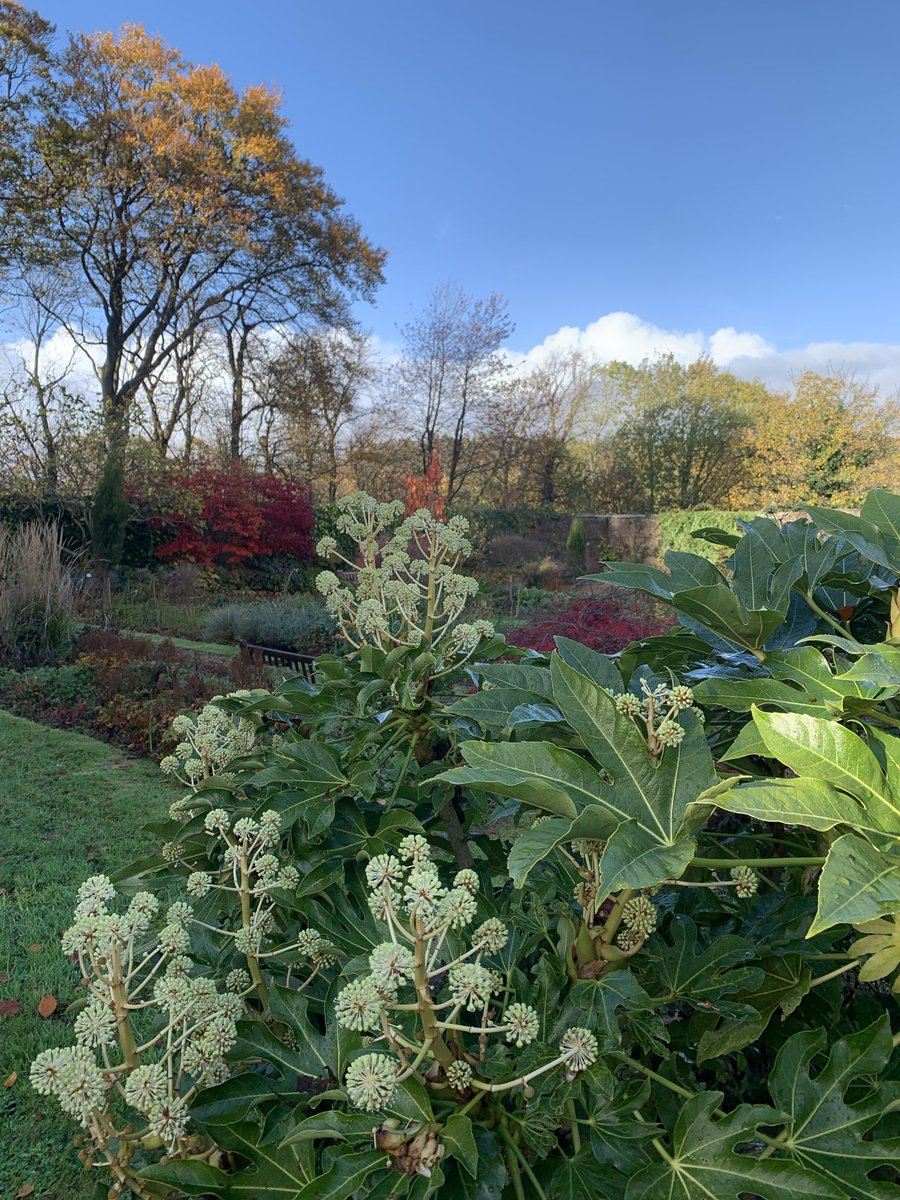 Mark Shephard 🏳️‍🌈 tweet media