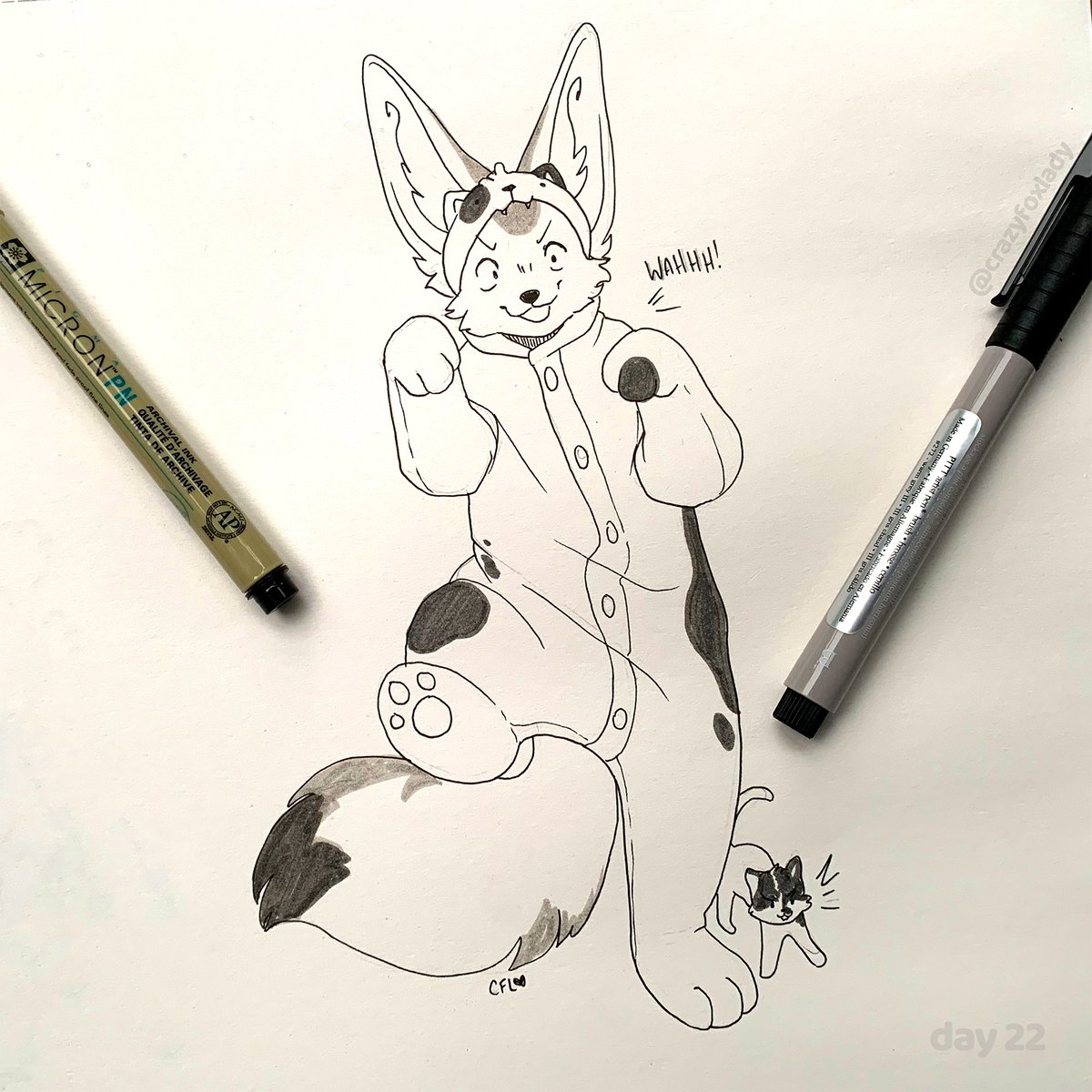 crazyfoxlady☕️🦊🌸 tweet media