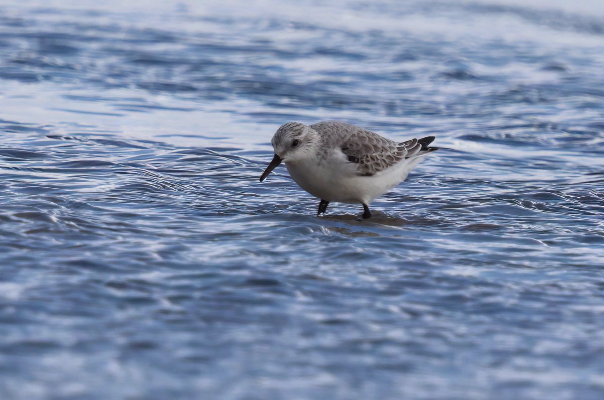 Graham Jaggard tweet media