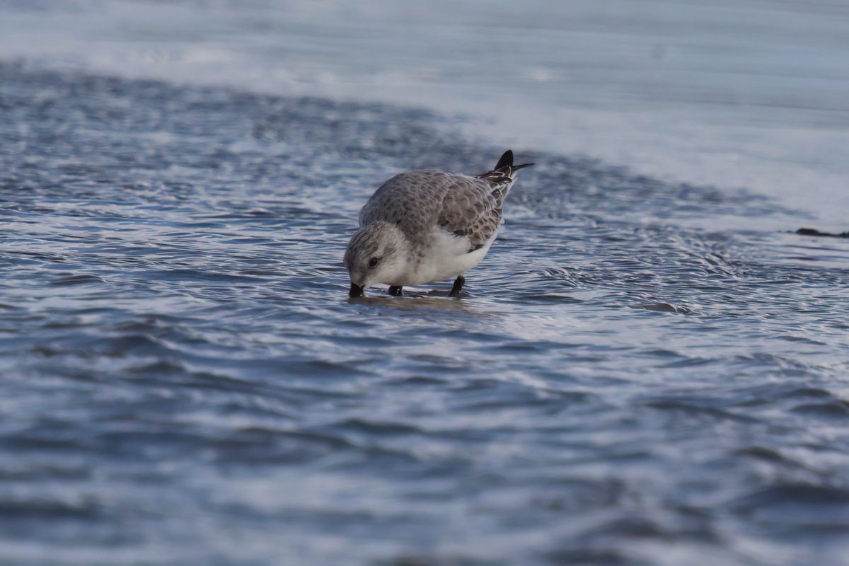 Graham Jaggard tweet media