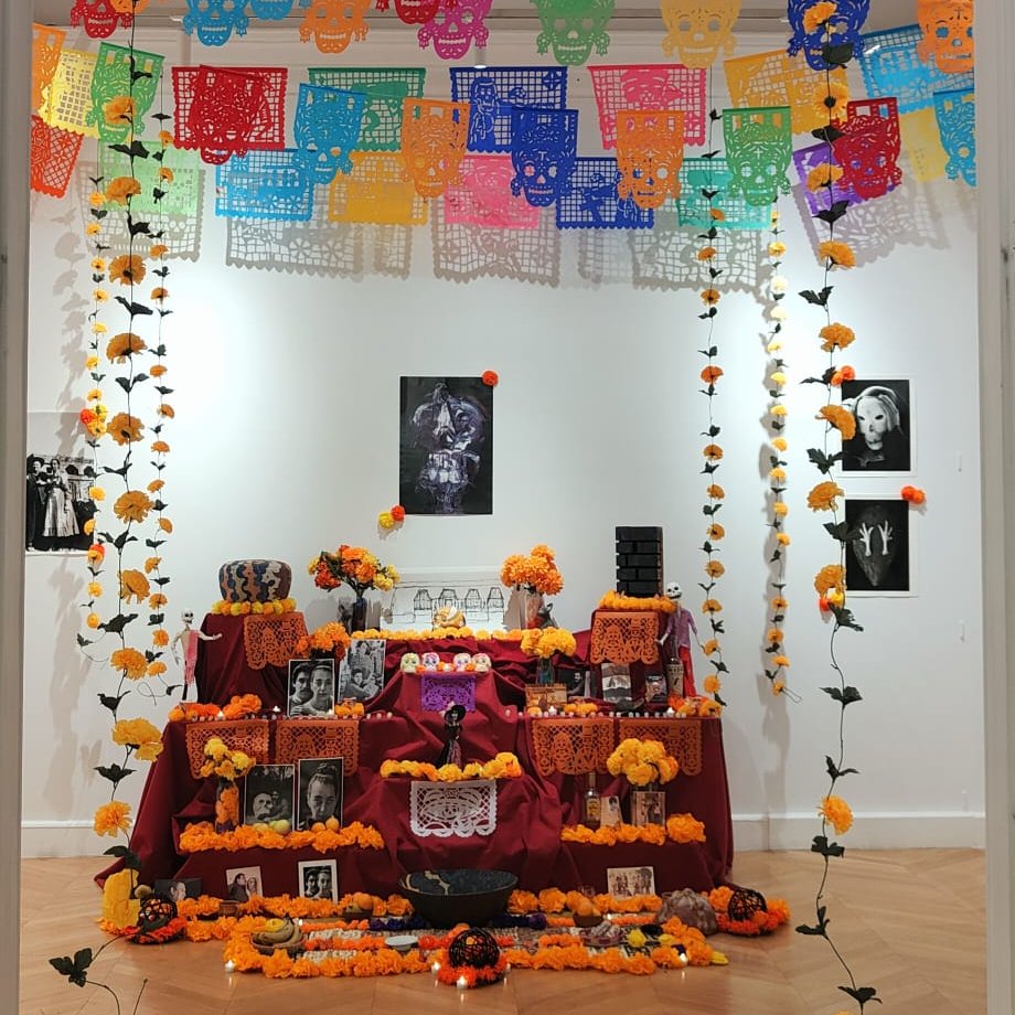 IMER Noticias tweet media