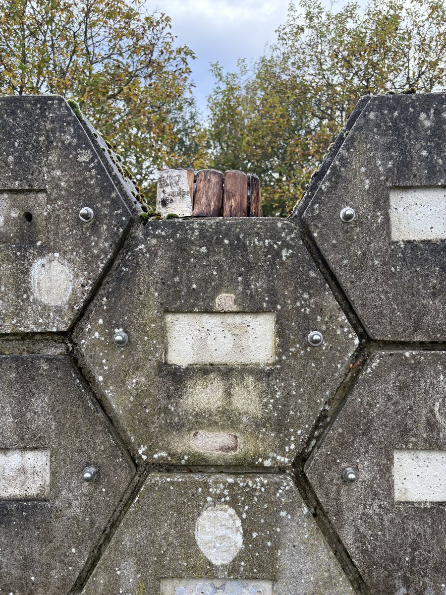 Hanne Lemmens tweet media