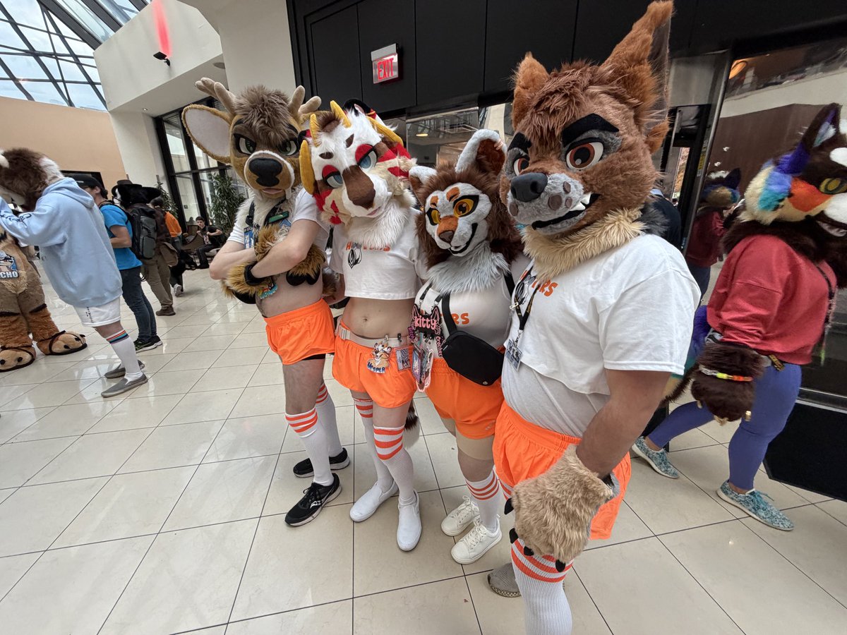 Vesper_Sabertooth 🔜 FE, AC tweet media