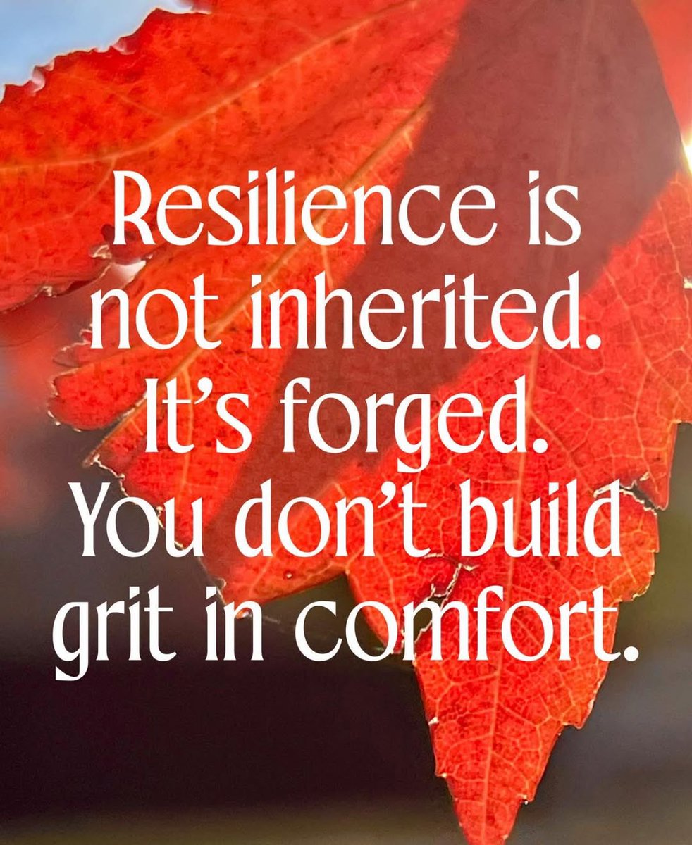 Meredith R. Sheppard (@mrsmsheppard) on Twitter photo 