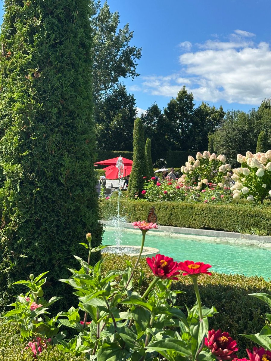 _al511otibi's tweet photo. Where nature meets elegance 💐☀️ Every corner feels like a dream,serene skies, blooming flowers, and timeless beauty🌳 https://t.co/6YQhS5BEz1