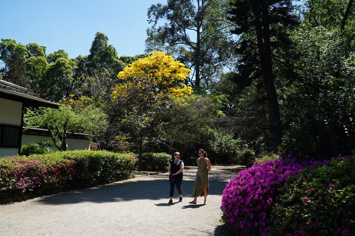 prefsp's tweet image. 🌎 São Paulo é feita de muitos mundos.

Aqui, cada esquina tem um idioma, cada parque tem um ritmo e cada pessoa carrega um pedaço da cidade dentro de si. 💛

E você, o que mais gosta de fazer em São Paulo? 🌆💬

#BelezasDeSP #PrefSP #SãoPauloNãoPara #CidadeLinda…