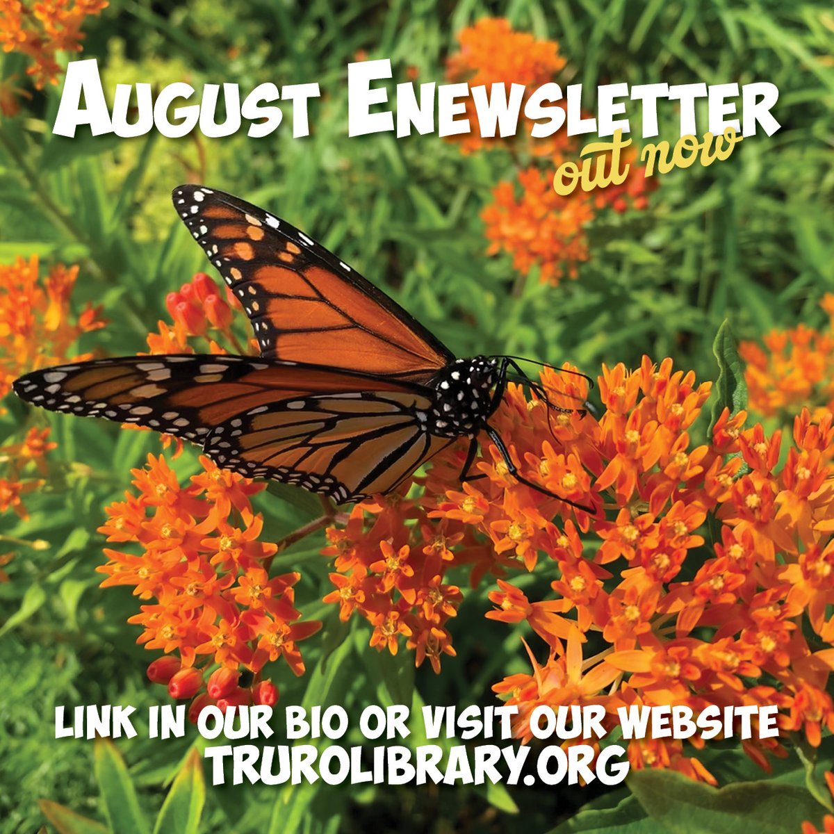 Truro Public Library tweet media